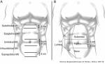 clasificacion-ehs | CLÍNICA de HERNIA ESPECIALIZADA